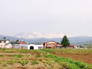 田園風景と旭岳を一望