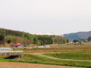 長閑な棚田の景色に囲まれて