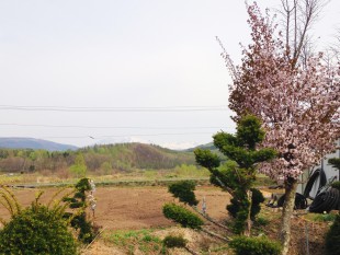 広い庭から里山風景を満喫